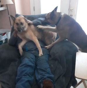 Meet your Posher, Ouida